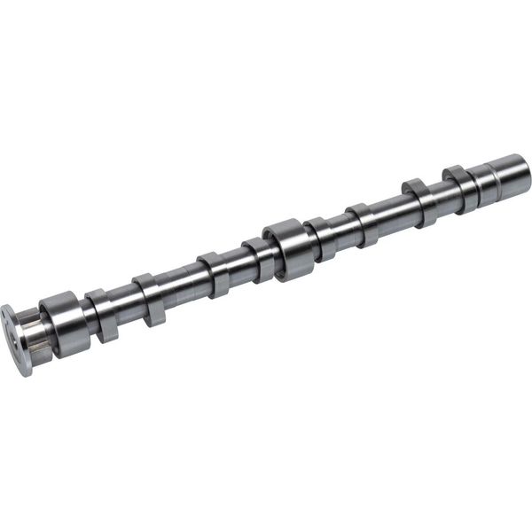 Febi Bilstein 176004 Albero A Camme Di Scarico Per Vw Golf V Hatchback (1K1) Golf Vi (5K1) Passat Variant (3C5) Tiguan (5N) Golf Plus (5M1, 521) Eos-image