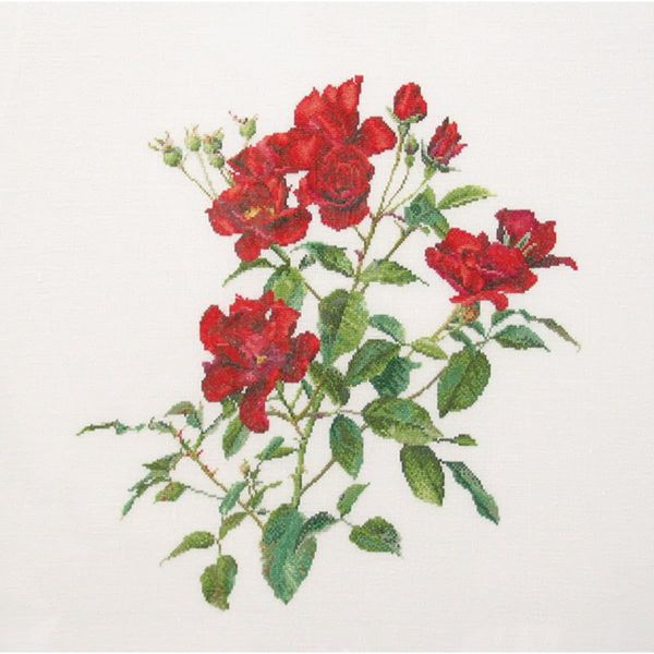 Thea Gouverneur Kit Punto Croce "Fervid Evenweave"", 44X44Cm"-image
