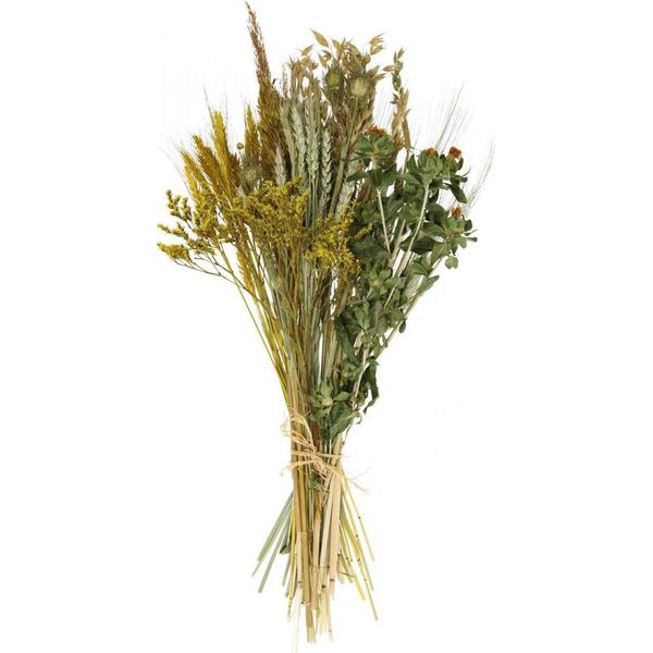 Set Fai Da Te Con Fiori Secchi Per Decorazioni Eleganti E Composizioni Floreali Creative-image