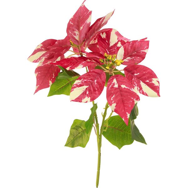 Stella Di Natale Artificiale Rosso Crema 35Cm 6Pcs Decorazione Avvento Fiore Artificiale-image
