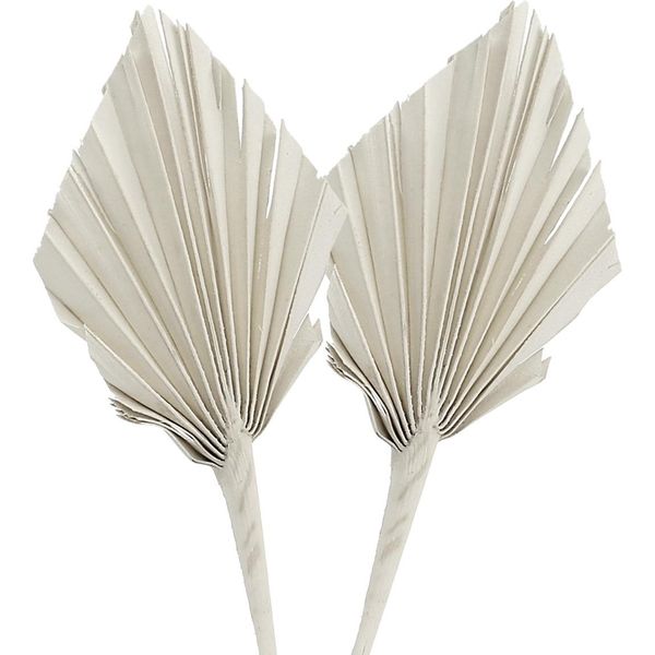 Palmspear Mini Bianco Lavato Set Da 100 Pezzi - Composizione Floreale Secca Decorazione Per Funerali E Commemorazioni, 100 Pezzi-image