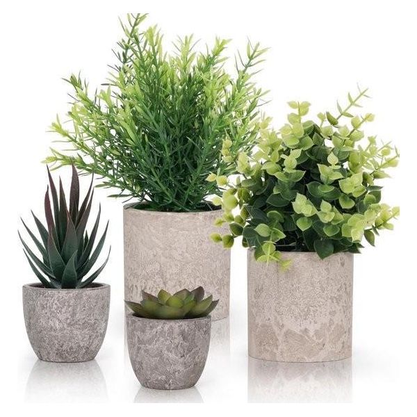 Piccole Piante Artificiali Verdi (Confezione Da 4) - Piante Artificiali Decorative Per Vasi Da Interno In Bagno E Ufficio - Eucalipto E Piante Grasse-image