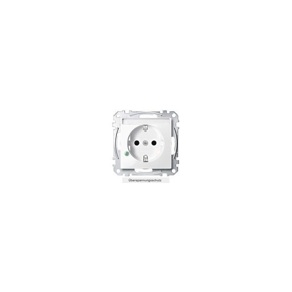 Merten Schuko Presa Di Corrente 16A MEG2305-0319 Polar-Ws Termoplastico Protezione Da Sovratensione MEG23 MEG2305-0319 (MEG2305-0319)-image