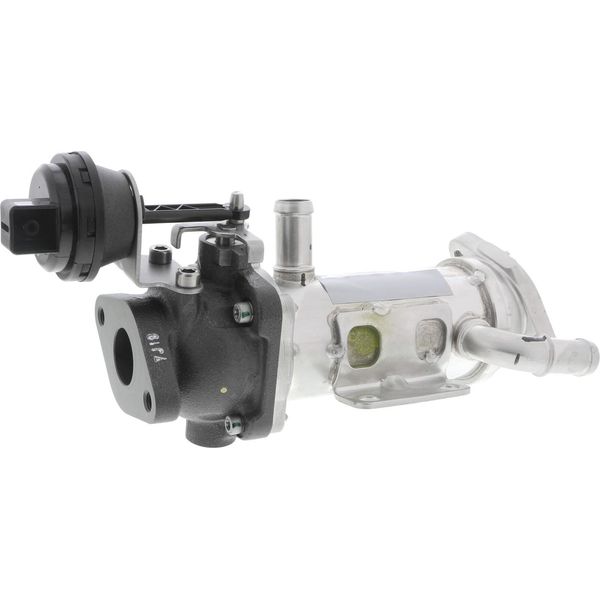 Radiatore, Ricircolo Dei Gas Di Scarico Renault Espace Iv, Megane Ii Scenic Ii, Trafic Ii-image