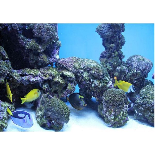 Sfondo Per Acquario Di Corallo, Poster Subacqueo, Decorazione Murale, Adesivo, 61 X 30 Cm-image