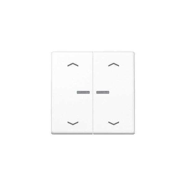 Jung BTAS17102PWW Jung Home Pulsante A 2 Vie Con Simboli A Freccia (BTAS17102PWW)-image