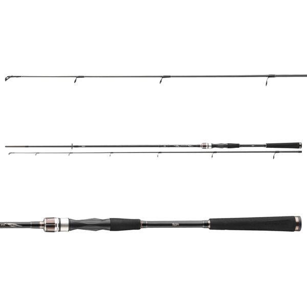 Daiwa Canna Exceler Spin 3 M 15-50 G 2 Pezzi-image