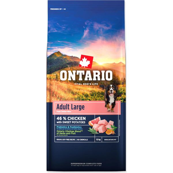 Ontario Adult Large Chicken-image