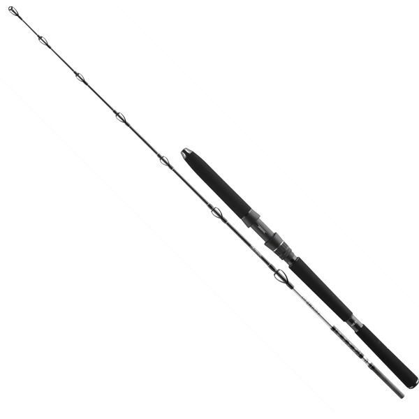 Daiwa Canna Bg Deep Sea 2,20M 30Lbs-image