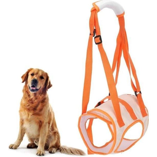 Imbracatura Di Sollevamento Regolabile E Traspirante Per Cani - Supporto Per Le Zampe Posteriori - Cani Anziani, Disabili, Artritici, Paralizzati - Taglia L.-image