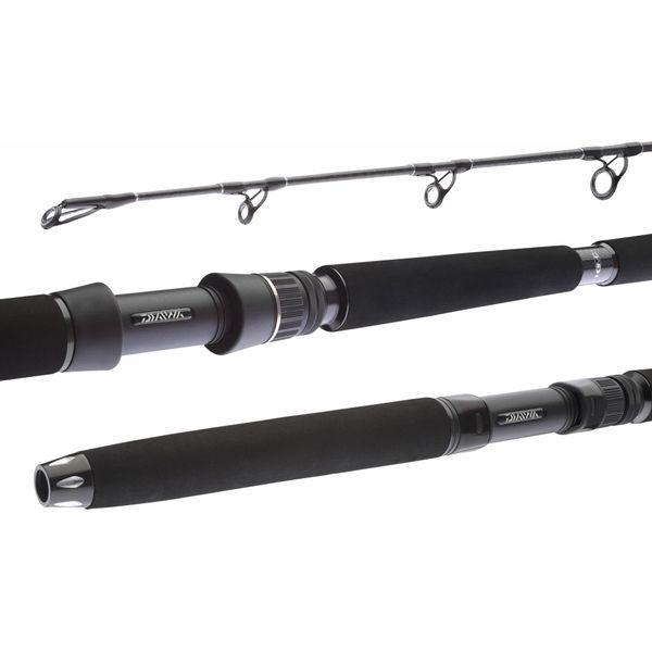 Daiwa Canna Bg Deep Sea 2,20 M 30-40 Lbs 2 Pezzi-image