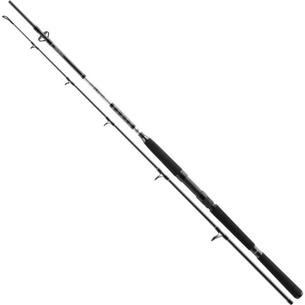 Daiwa Canna Bg Boat 2,10M 150-400G 2 Pezzi-image