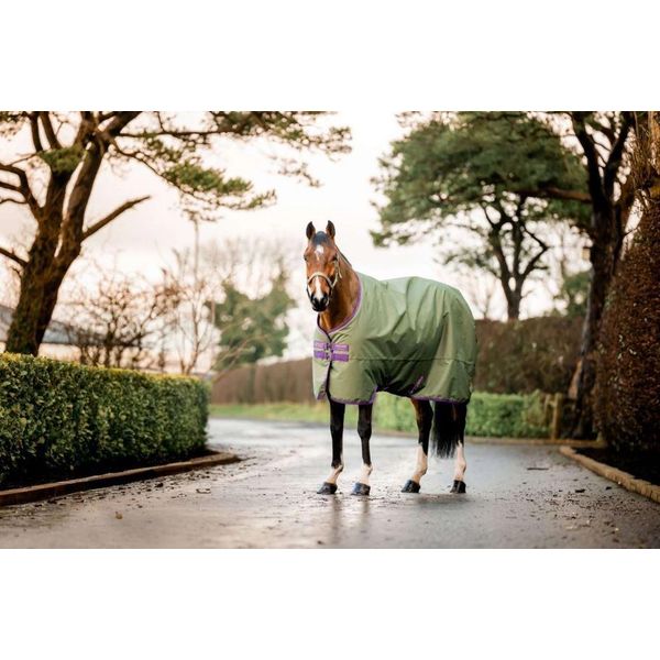 Horseware Amigo Hero 600D Ripstop 50G Coperta Impermeabile Bramble/Winterberry, Misura: 6'3/140-image