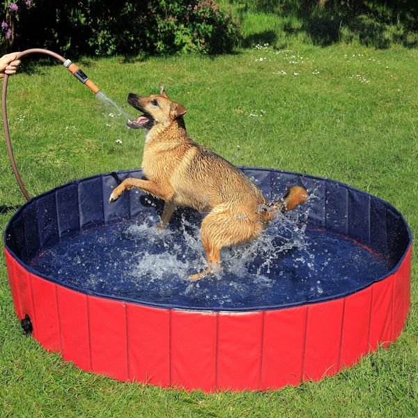 Piscina Per Cani Pieghevole Lionto, Vasca Per Bambini In Pvc Resistente, Antigraffio E Antiscivolo, Con Valvola Di Scarico, Diametro 160 Cm, Altezza 30 Cm-image