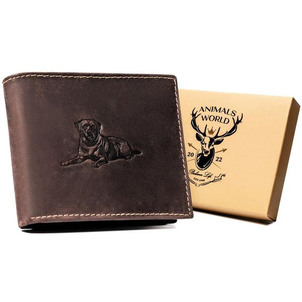 Always Wild | Portafoglio Grande, In Pelle, Da Uomo, Marrone, 12,5X10,5 Cm-image