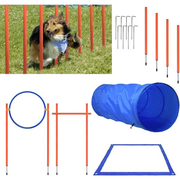 Set Di Attrezzature Di Agilità Per Cani Yuenfong, Ostacoli Per L'addestramento Con Tunnel Per Cani, Pali Intrecciati, Anello Di Salto, Barra Per Ostacoli, Barili Conici-image