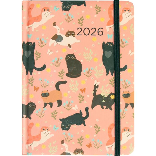 Calendario 2026 B6 Al Giorno, Gatti-image