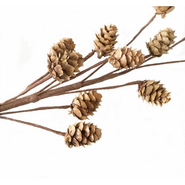 Decorazione Con Pigne Di Abete, 2 Pezzi Con 11 Pigne, Per Composizioni Natalizie E Floreali-image