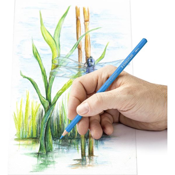 Staedtler 14610C M12 Matita Acquerello Staedtler Design Journey, Confezione Da 12 Pezzi In Metallo-image
