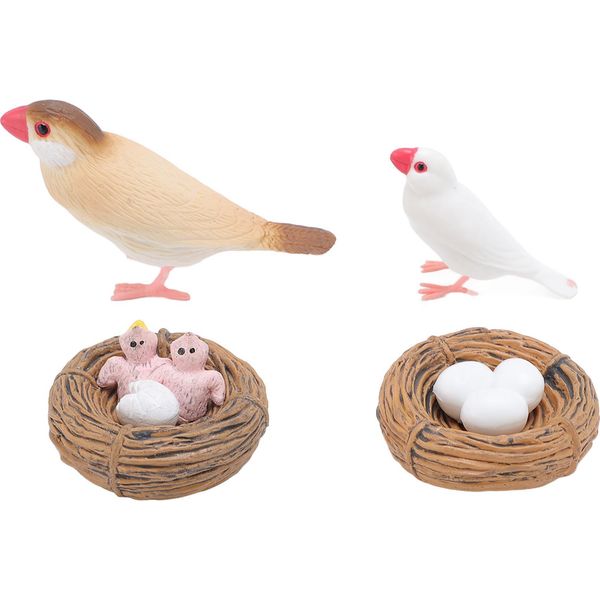 4 Pezzi Figure Del Ciclo Di Vita Dell'uccello Fringuello Per Bambini, Pvc, Giocattolo Educativo Realistico Di Crescita Animale-image