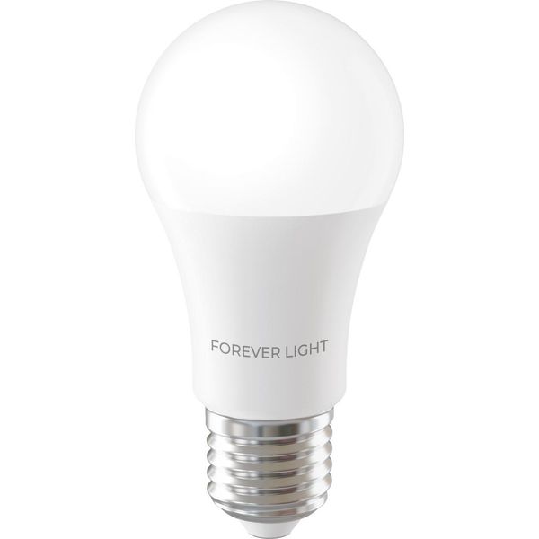 Forever Light Lampadina Led E27 A60 12,8 W 1520 Lm 3000 K Classe Di Efficienza Energetica E-image