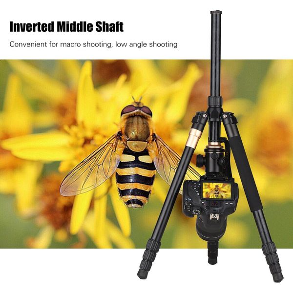 Andoer Q999 158 Cm/62 Pollici Treppiede Fotografico Portatile Monopiede Lega Di Alluminio Testa A Sfera Panoramica A 360° Capacità Di Carico 10 Kg/22 Libbre Con Borsa Di Trasporto Per Fotocamere Dslr Videocamere Smartphone-image