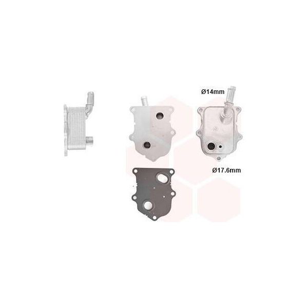 Van Wezel 17013709 - Radiatore Olio Oe 46346172 Per Tipo, 500X (334), Renegade, Compass-image