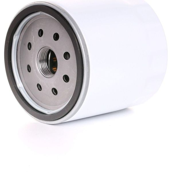 Stark SKOF-0860051 - Filtro Oe 1109H4 Per Transit Tourneo, Transit Connect, Tourneo Connect, Focus (Dnw), Focus (Dfw), Focus (Daw, Dbw), Fiesta V-image