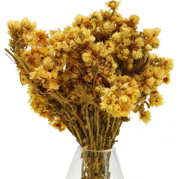 Bouquet Di Fiori Secchi In Filigrana Per Una Decorazione Versatile-image