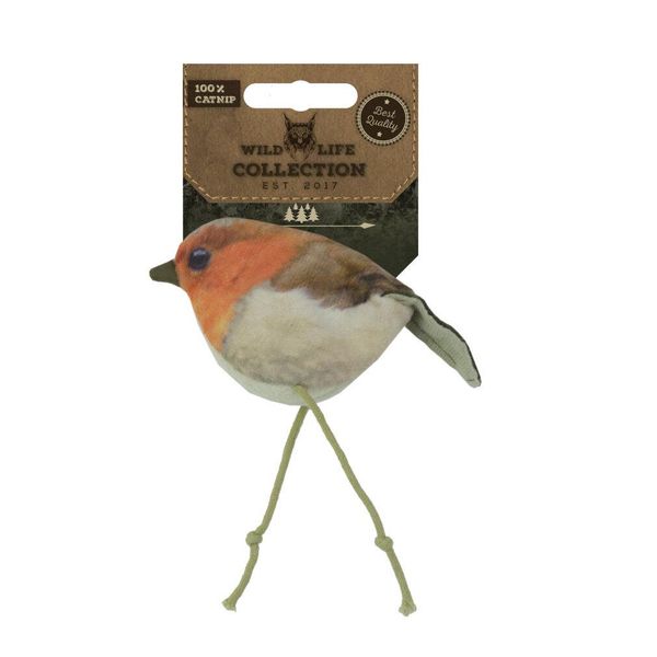 Gatto Selvatico Robin (Pettirosso)-image