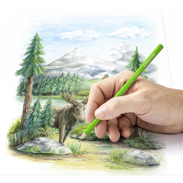 Staedtler 146C M48 Matita Colorata Staedtler Design Journey, Astuccio Multiuso Da 48 Pezzi-image
