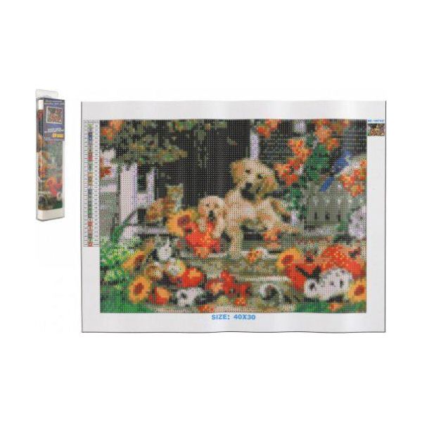 Quadro Diamante Animali Domestici Davanti Alla Casa 40X30Cm Con Accessori-image