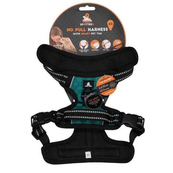 Avvistato! Imbracatura Pro Grun Xs-image