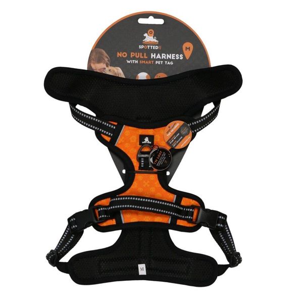 Avvistato! Imbracatura Pro Arancione M-image