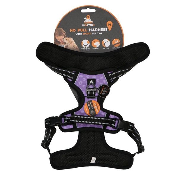 Avvistato! Imbracatura Pro Viola M-image