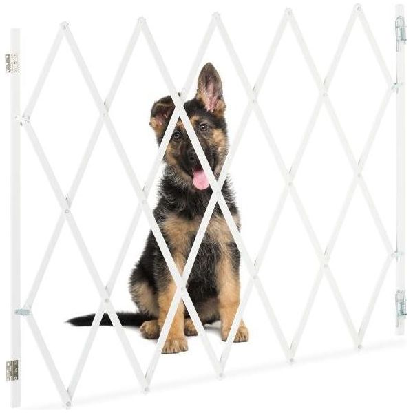 Barriera Per Cani Di Grandi Dimensioni, Bambù Naturale-image