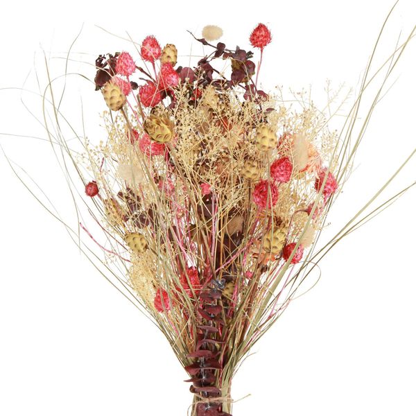 Bouquet Di Fiori Secchi Boho Con Knapweed E Cardo Fragola-image