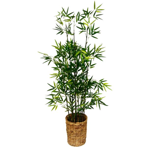 Kunstpflanze I.Ge.A. "Bambus", GrüN, B:40Cm H:120Cm T:40Cm, Kunststoff, Polyester, Kunstpflanzen, Kunstpflanze-image