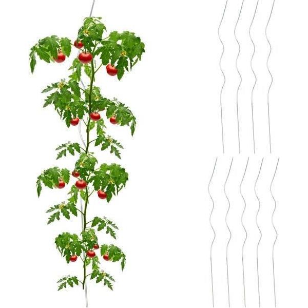 Set Di 10 Aste A Spirale Pomodori-image