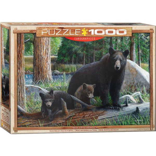 Eurographics Puzzle Neue Entdeckungen Von Kevin Daniel, 1000 Teile, 68 X 48 Cm, 6000-0793-image