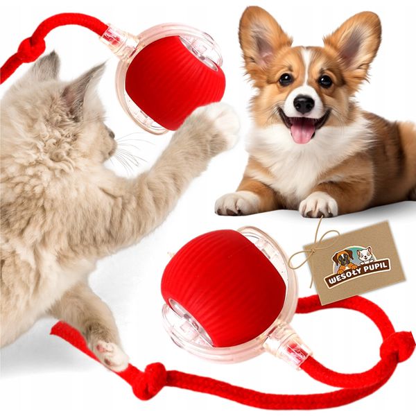 Palla Interattiva Per Gatti Giocattoli Per Cani Usb Vibrante Led Elettrico-image
