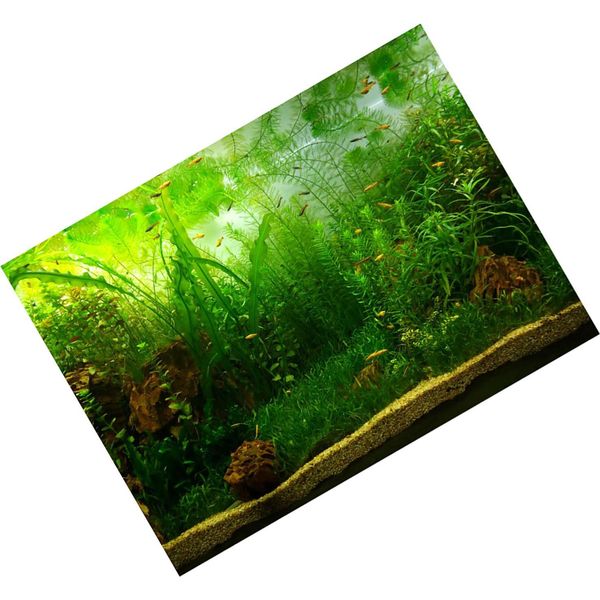 Poster Per Acquario - Poster Di Sfondo Per Acquario In Stile Erba D'acqua Carta Decorativa Adesiva In Pvc (122 * 50 Cm)-image
