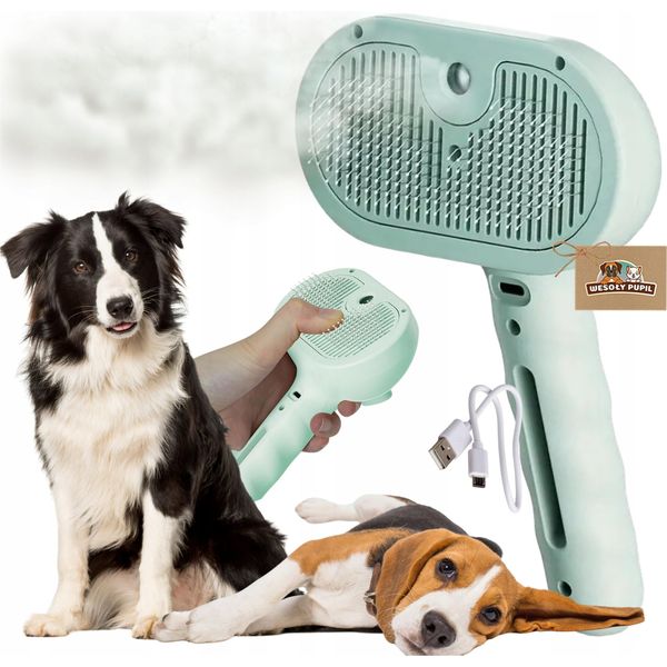 Spazzola Elettrica A Vapore Per Cani Autopulente Menta-image