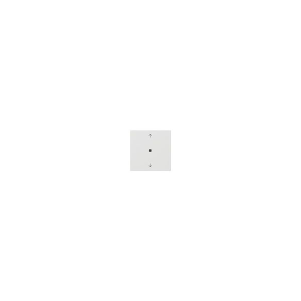 Frecce Di Controllo, Bianco Puro - Intelligent Control White 538203-image