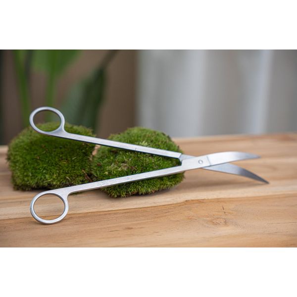 Forbici Lunghe Per Terrari - Acciaio Inox - 25 Cm - Forbici Di Precisione Con Lama Curva - Forbici In Acciaio Inox Per La Cura Delle Piante - Per Terrari, Acquari E Giardini Di Bottiglie-image
