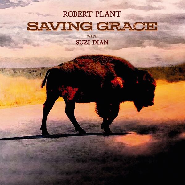 Robert Plant - Saving Grace (140 G) (Lp)-image