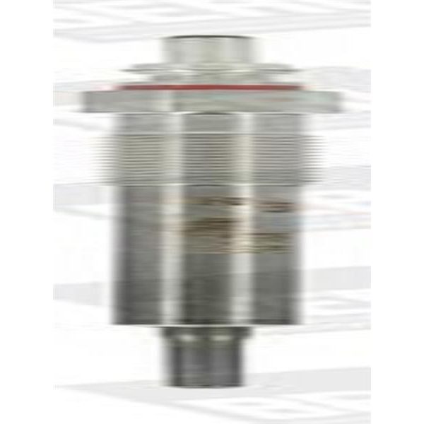 Candela Di Preriscaldamento Borgwarner (Beru) GE117-image