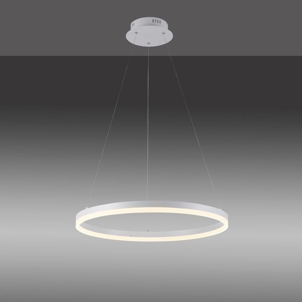 Paul Neuhaus Pendelleuchte "Titus", Weiß, 1, Ø 60Cm, 1 Stk., Leuchten, Led, Dimmbar, Simply Dim, Memory, Nach Trennung Vom Netz, Pendelleuchte-image