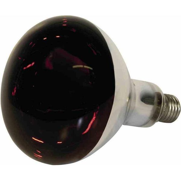 Kerbl Lampada Termica A Infrarossi In Vetro Temperato 250W-image