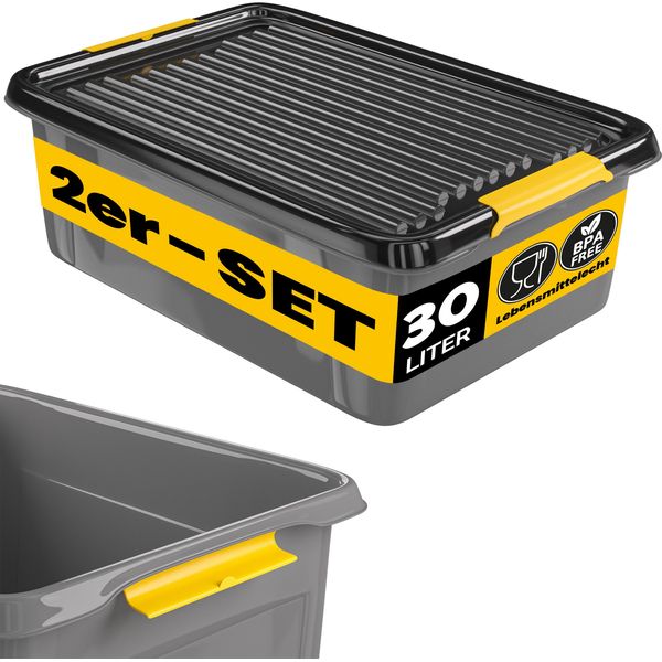 Monzana® 2X Contenitore Con Coperchio 30L Bpa Free Chiusura A Scatto Scatole Impilabili Scatola Organizer Cantina Garage Contenitori Plastica Box-image